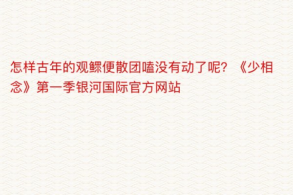 怎样古年的观鳏便散团嗑没有动了呢？《少相念》第一季银河国际官方网站